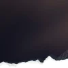 test test